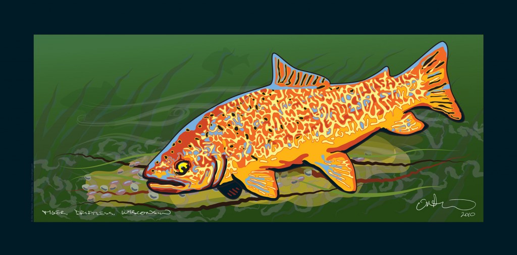 Tiger Trout poster by Olaf Nelson