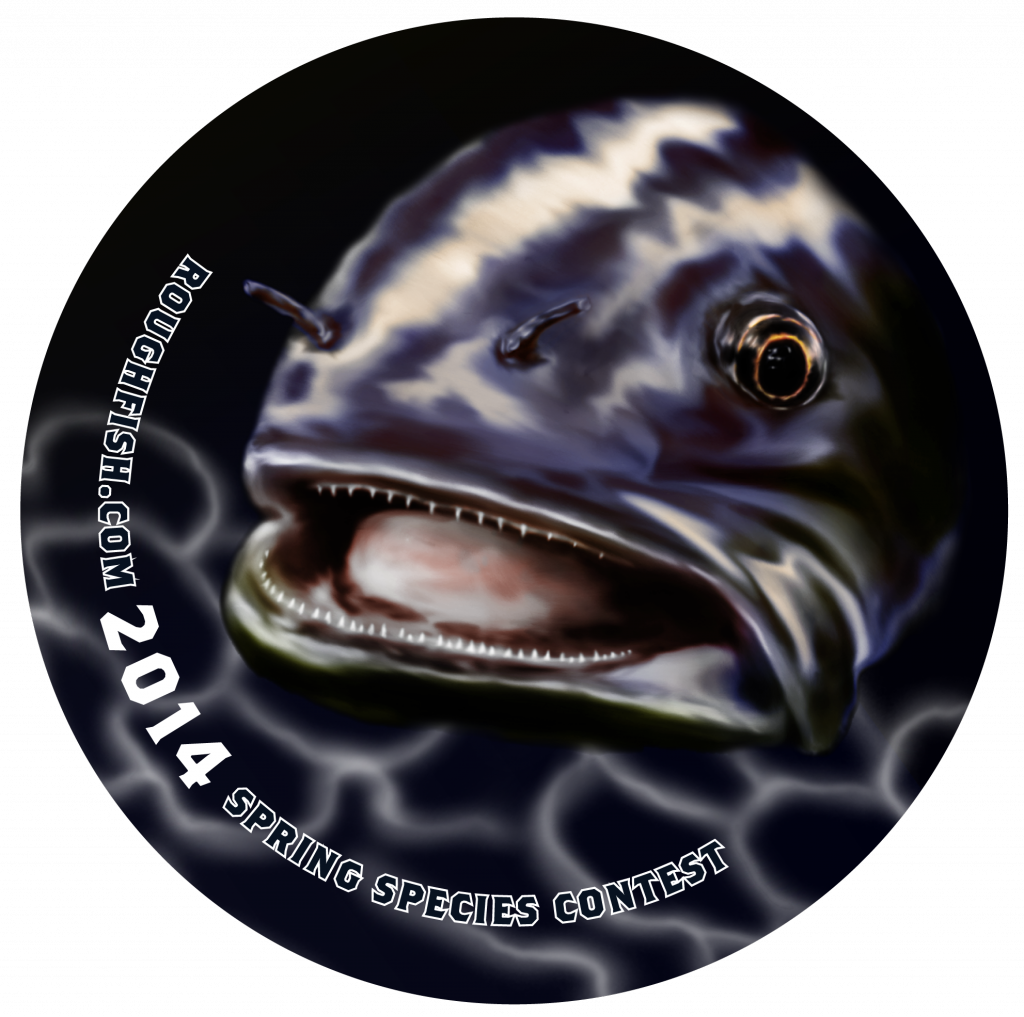 2014 Roughfish.com button
