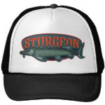Sturgeon logo hat